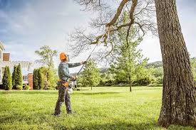 Best Seasonal Cleanup  in Wallace, ID